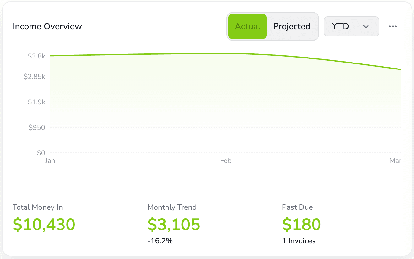 PracticeWorksHQ income overview